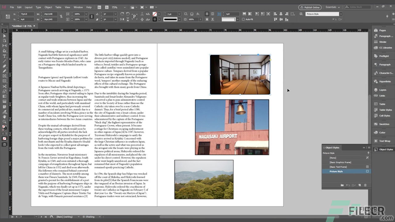adobe indesign for the mac